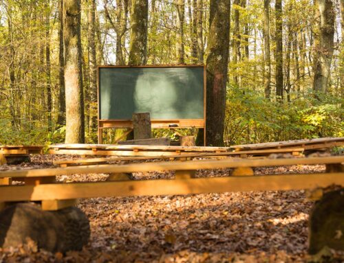 Forest Schools in East Lothian & Edinburgh