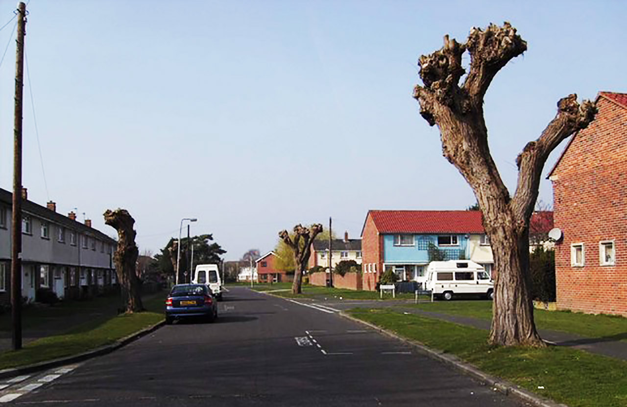 Topped Trees